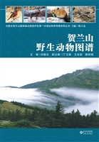 贺兰山野生动物图谱