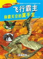 飞行霸主——称霸天空