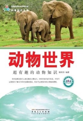 动物世界：超有趣的动物