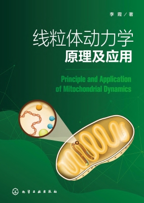 线粒体动力学原理及应
