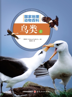 鸟类（上）