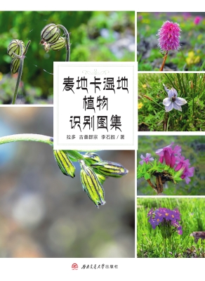 麦地卡湿地植物识别图