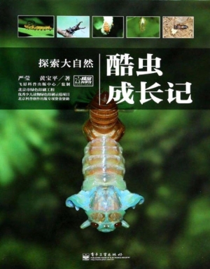 酷虫成长记