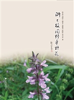 浙大校园野草野花
