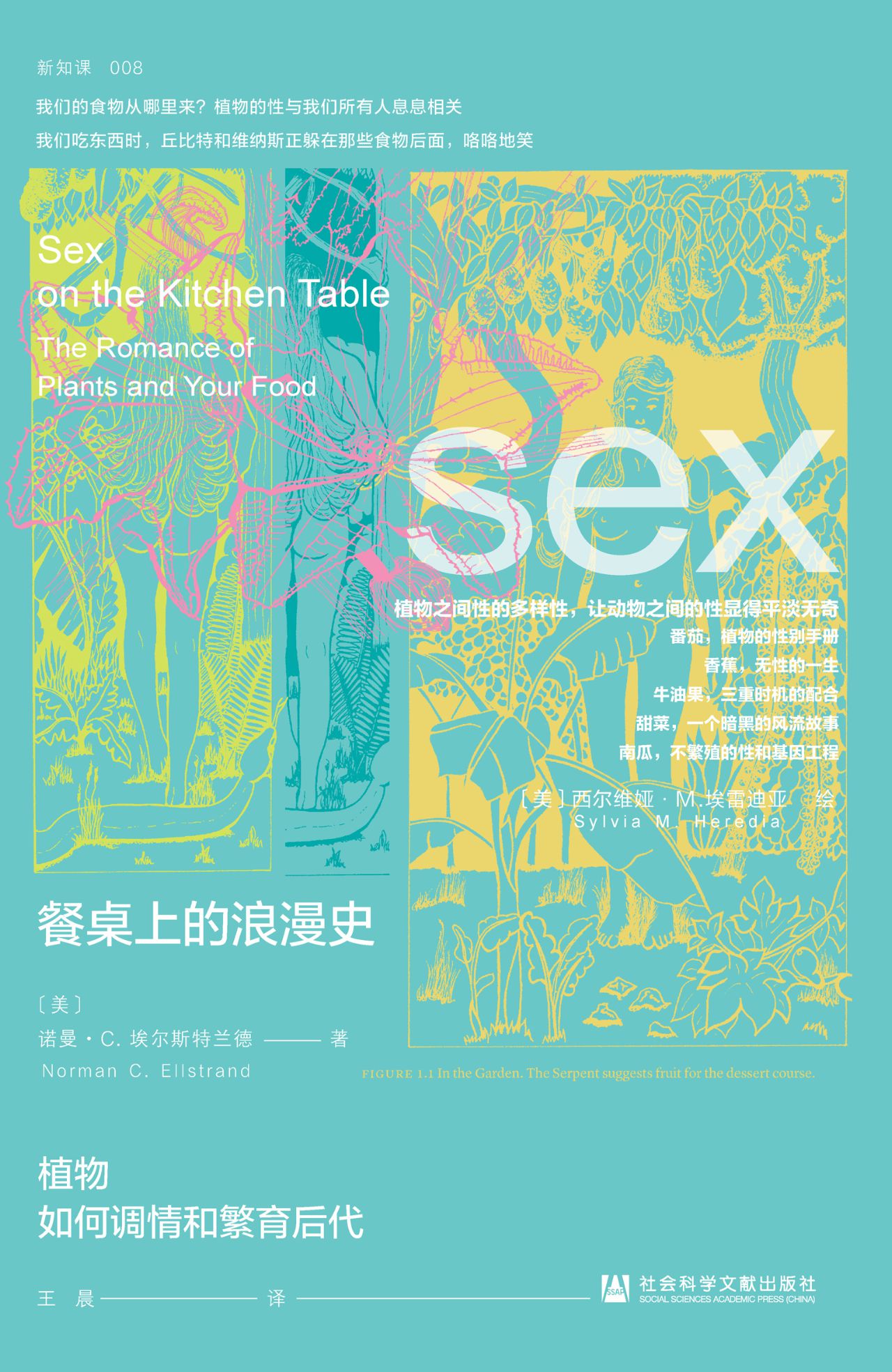 餐桌上的浪漫史;植物