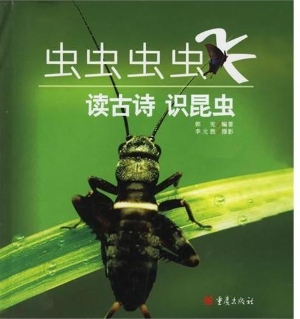 虫虫虫虫飞