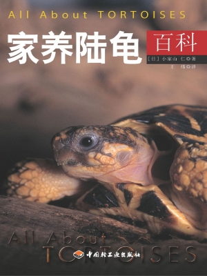 家养陆龟百科