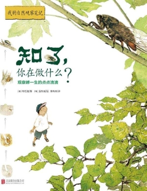 知了，你在做什么？