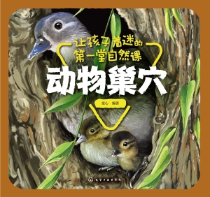 让孩子着迷的第一堂自