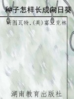 种子怎样长成向日葵