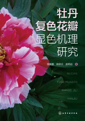 牡丹复色花瓣显色机理