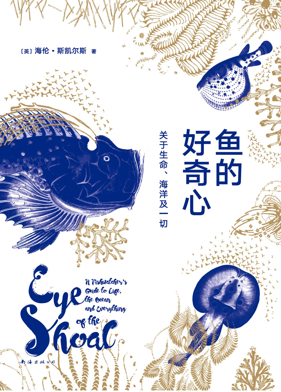 鱼的好奇心