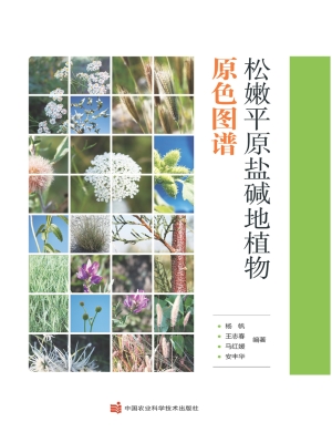 松嫩平原盐碱地植物原