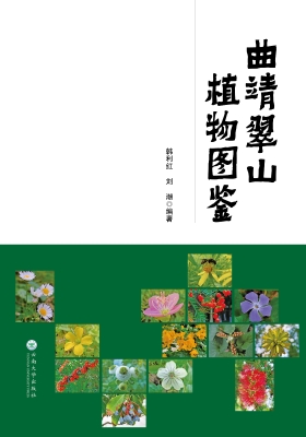 曲靖翠山植物图鉴