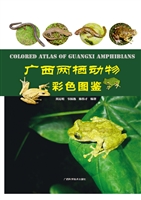 广西两栖动物彩色图鉴