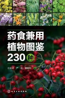药食兼用植物图鉴230