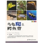 科普乐园：乌龟爬上鳄鱼