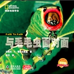 与毛毛虫面对面