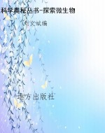 科学奥秘丛书-探索微