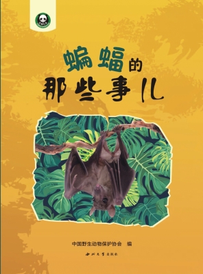 蝙蝠的那些事儿