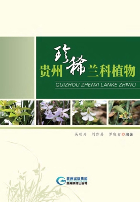 贵州珍稀兰科植物