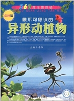 360度全景探秘:最不可