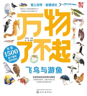 万物了不起：飞鸟与游鱼