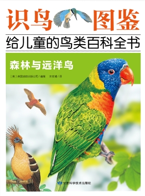 森林与远洋鸟
