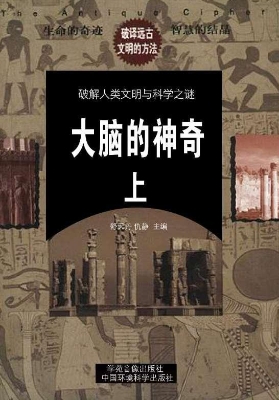 大脑的神奇（上）