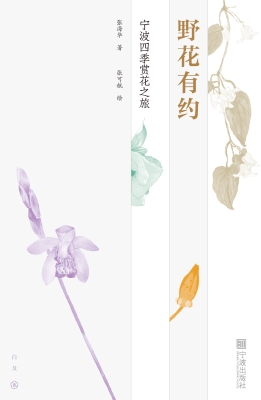 野花有约：宁波四季赏花