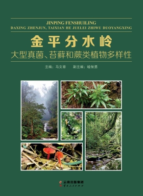 金平分水岭大型真菌、