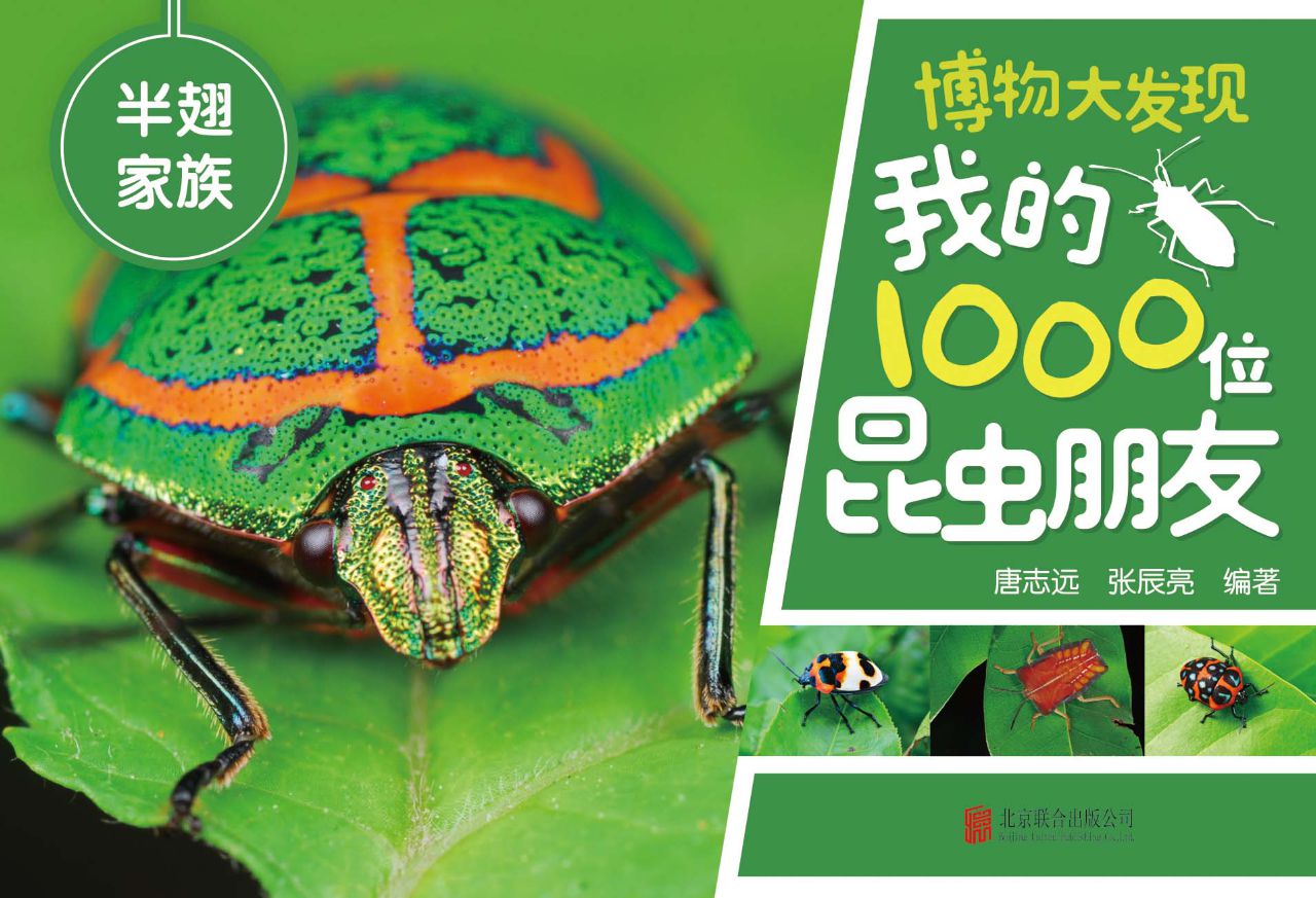 博物大发现：我的1000位