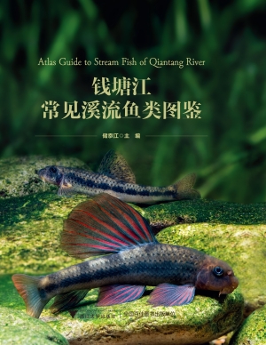 钱塘江常见溪流鱼类图