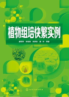 植物组培快繁实例