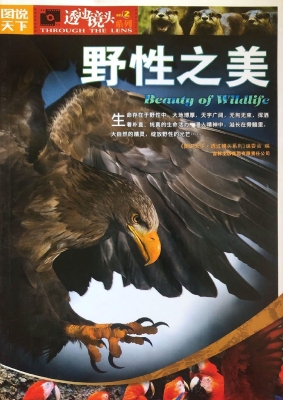 野性之美