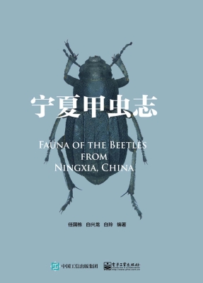 宁夏甲虫志