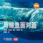 与鲸鱼面对面