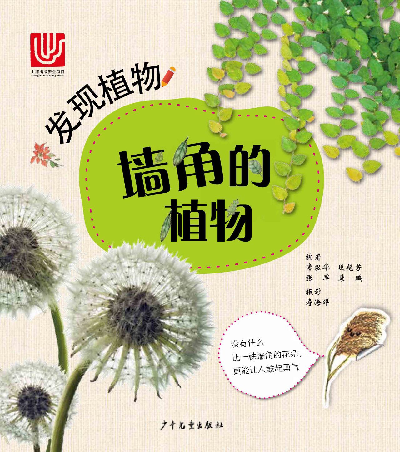 发现植物 墙角的植物