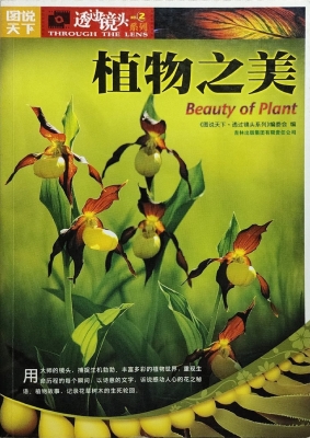 植物之美