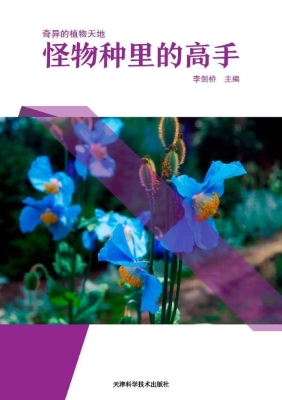 怪物种里的高手