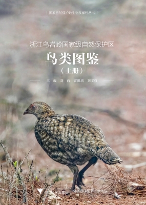浙江乌岩岭国家级自然