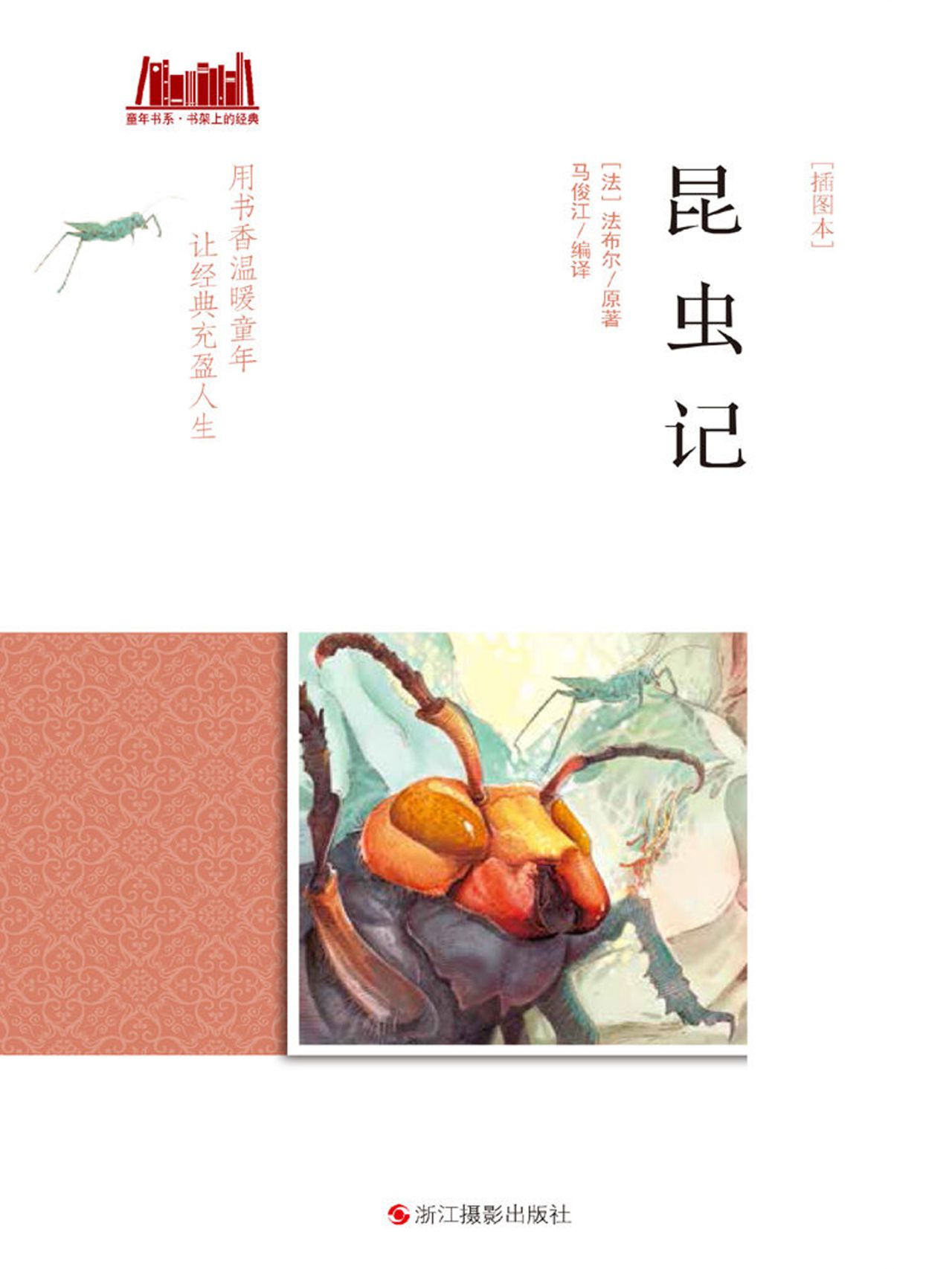 昆虫记：插图本（童年书系