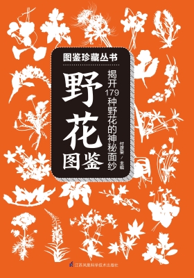 野花图鉴