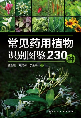 常见药用植物识别图鉴