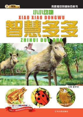 小小动物，智慧多多