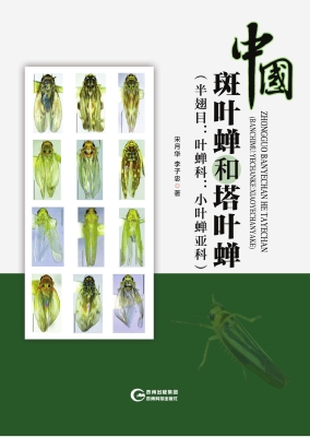 中国斑叶蝉和塔叶蝉（半
