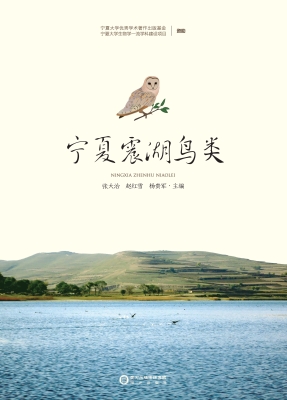 宁夏震湖鸟类