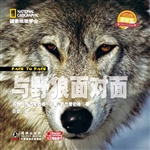 与野狼面对面