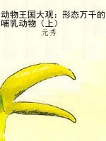 动物王国大观：形态万千