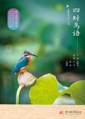 四时鸟语